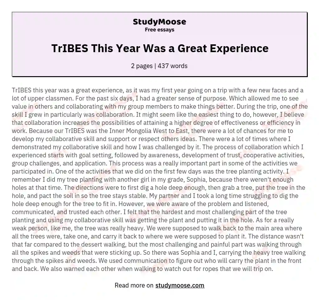TrIBES This Year Was a Great Experience