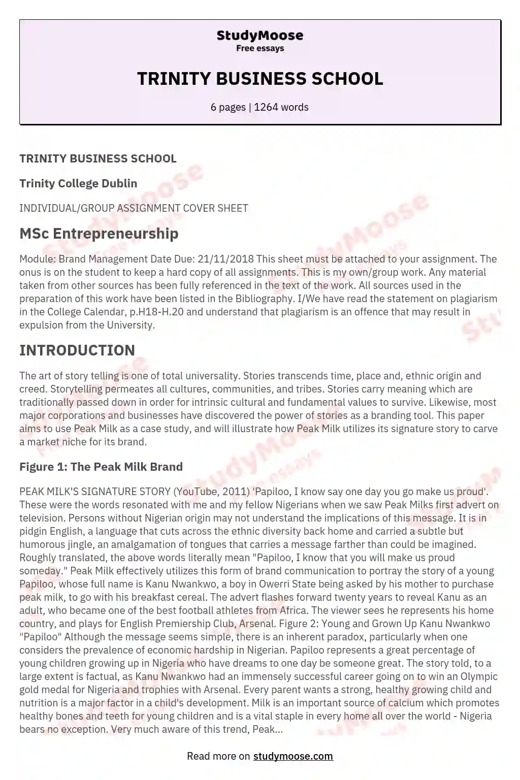 TRINITY BUSINESS SCHOOL essay