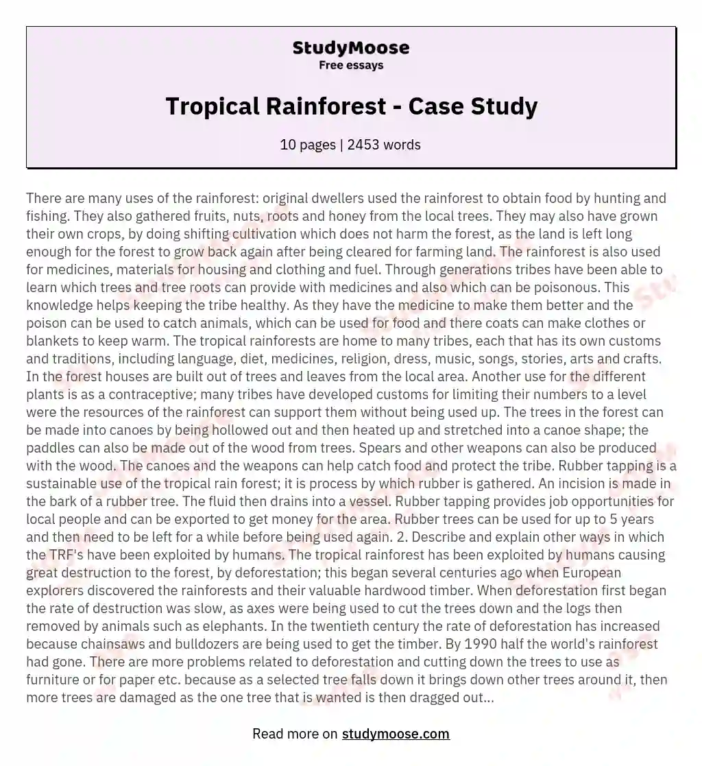 tropical rainforest essay