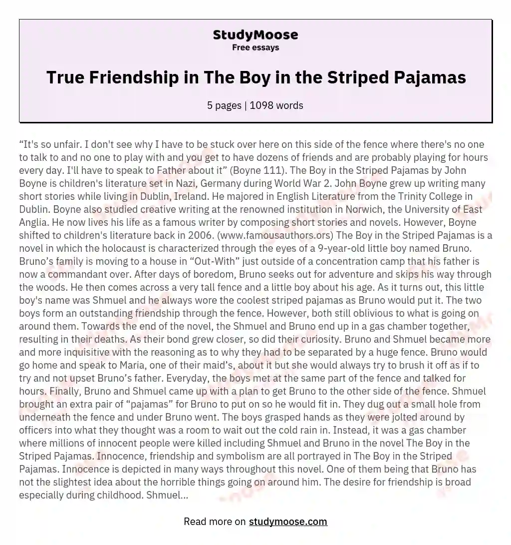True Friendship in The Boy in the Striped Pajamas essay