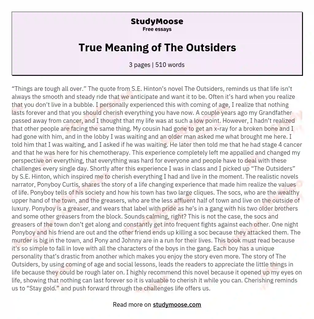 True Meaning of The Outsiders