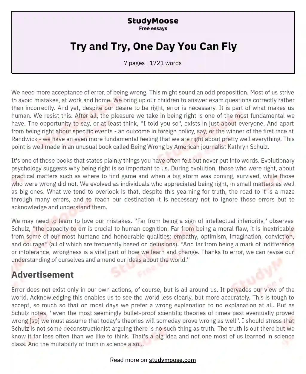 Try and Try, One Day You Can Fly essay