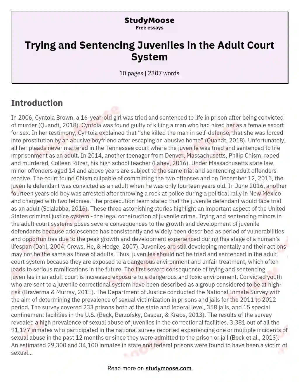 Trying and Sentencing Juveniles in the Adult Court System essay