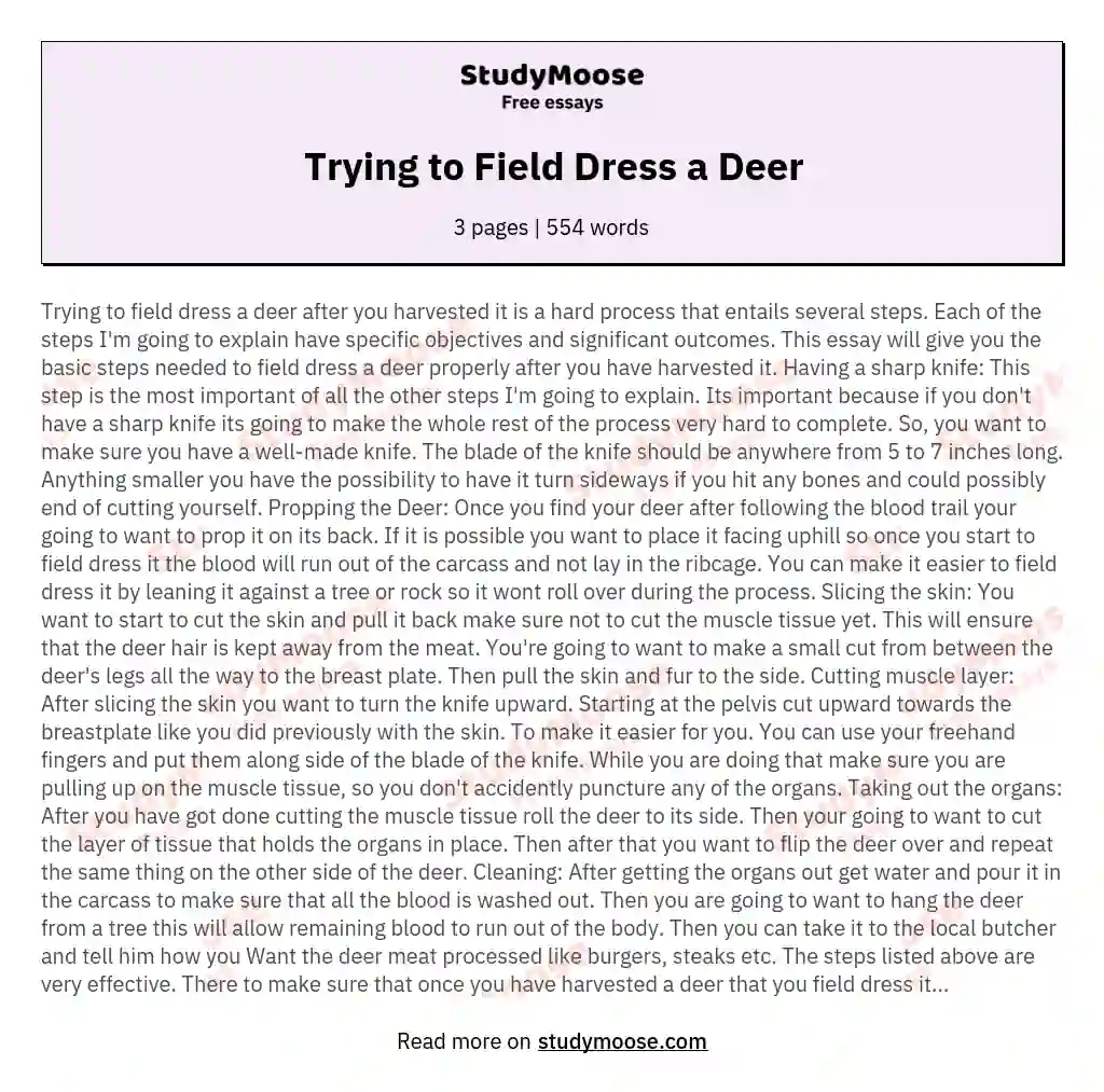 Trying to Field Dress a Deer essay