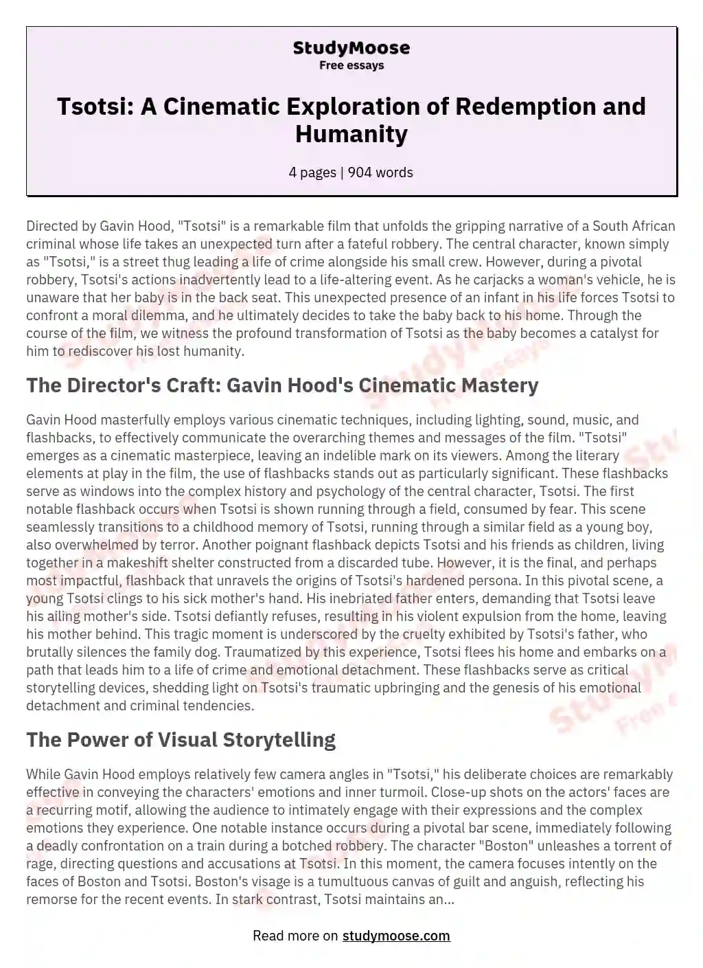 tsotsi summary essay pdf