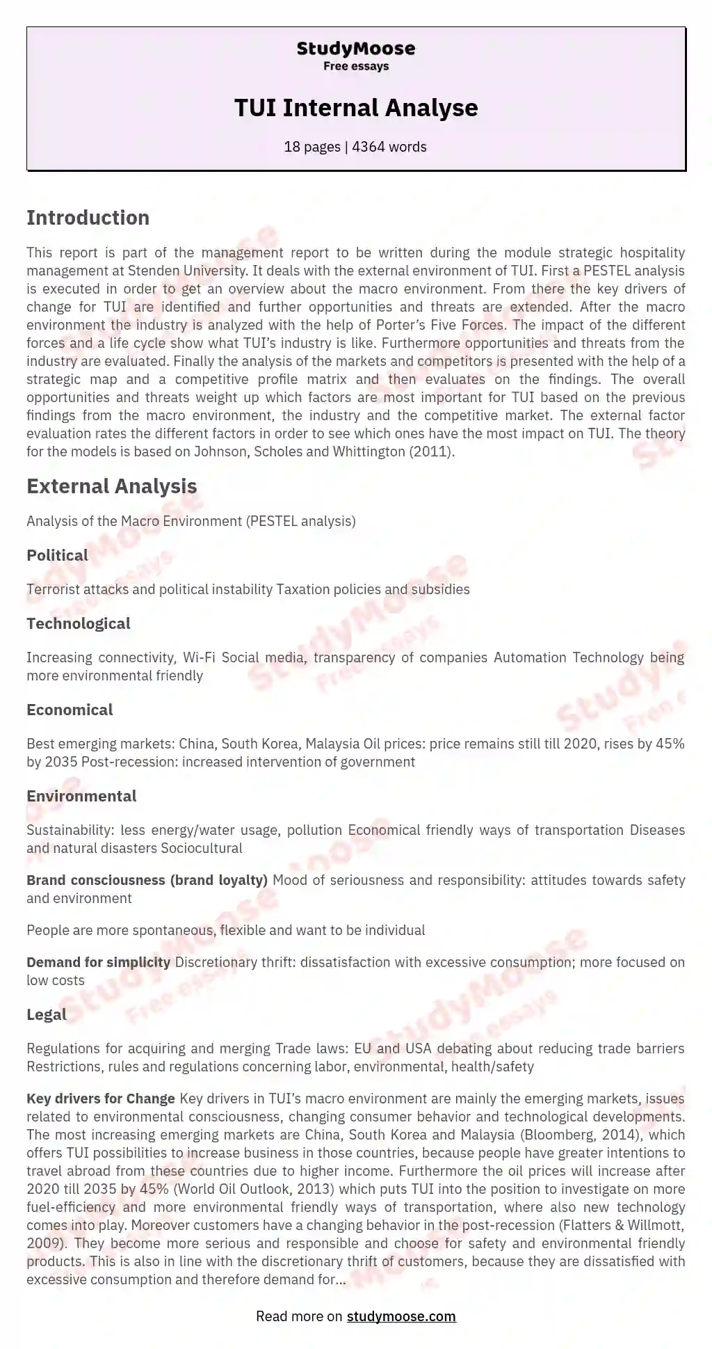 TUI Internal Analyse essay