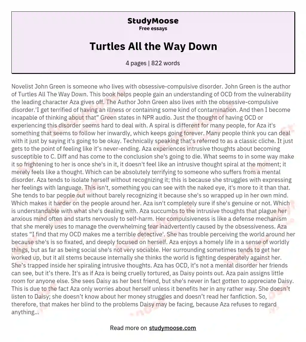 Turtles All the Way Down essay