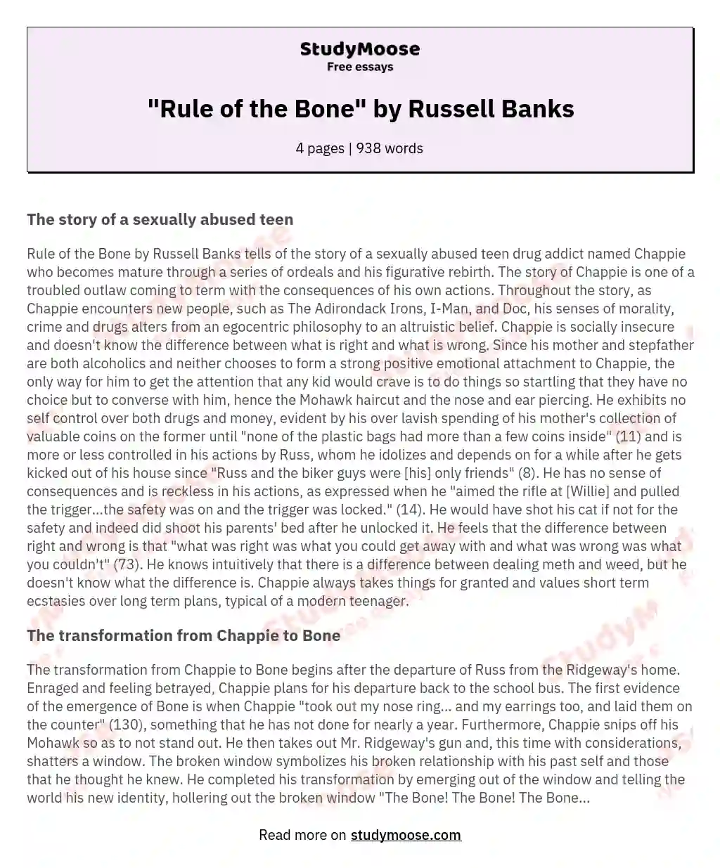 "Rule of the Bone" by Russell Banks essay