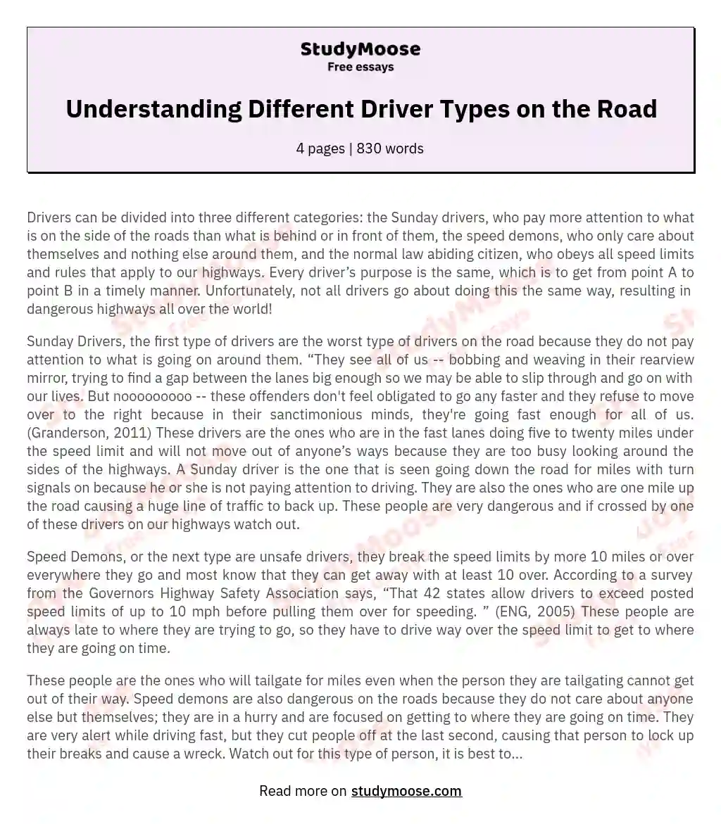 Understanding Different Driver Types on the Road essay