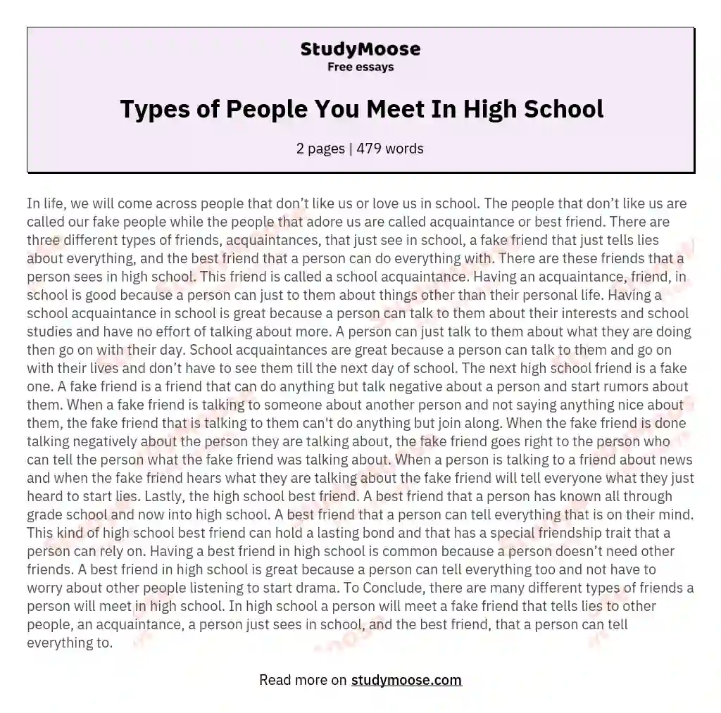 Types of People You Meet In High School essay