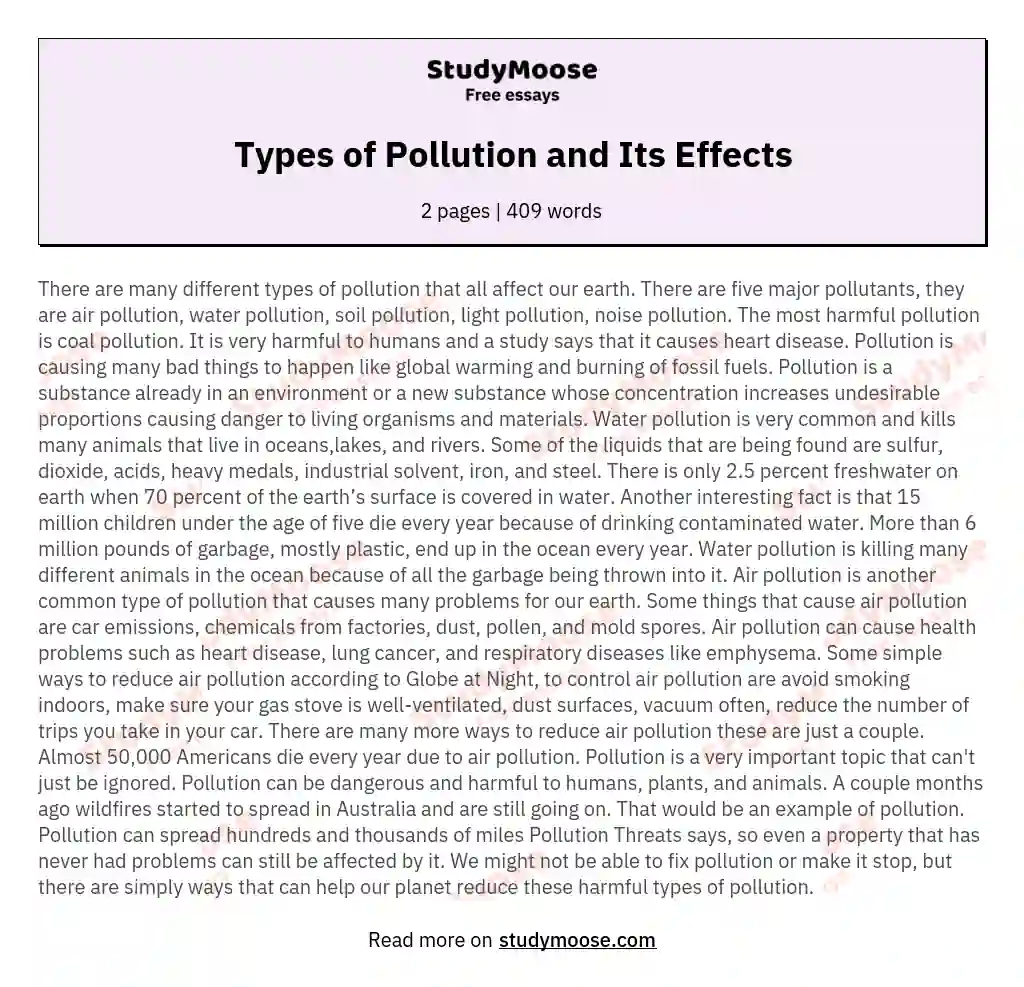 Types of Pollution and Its Effects essay
