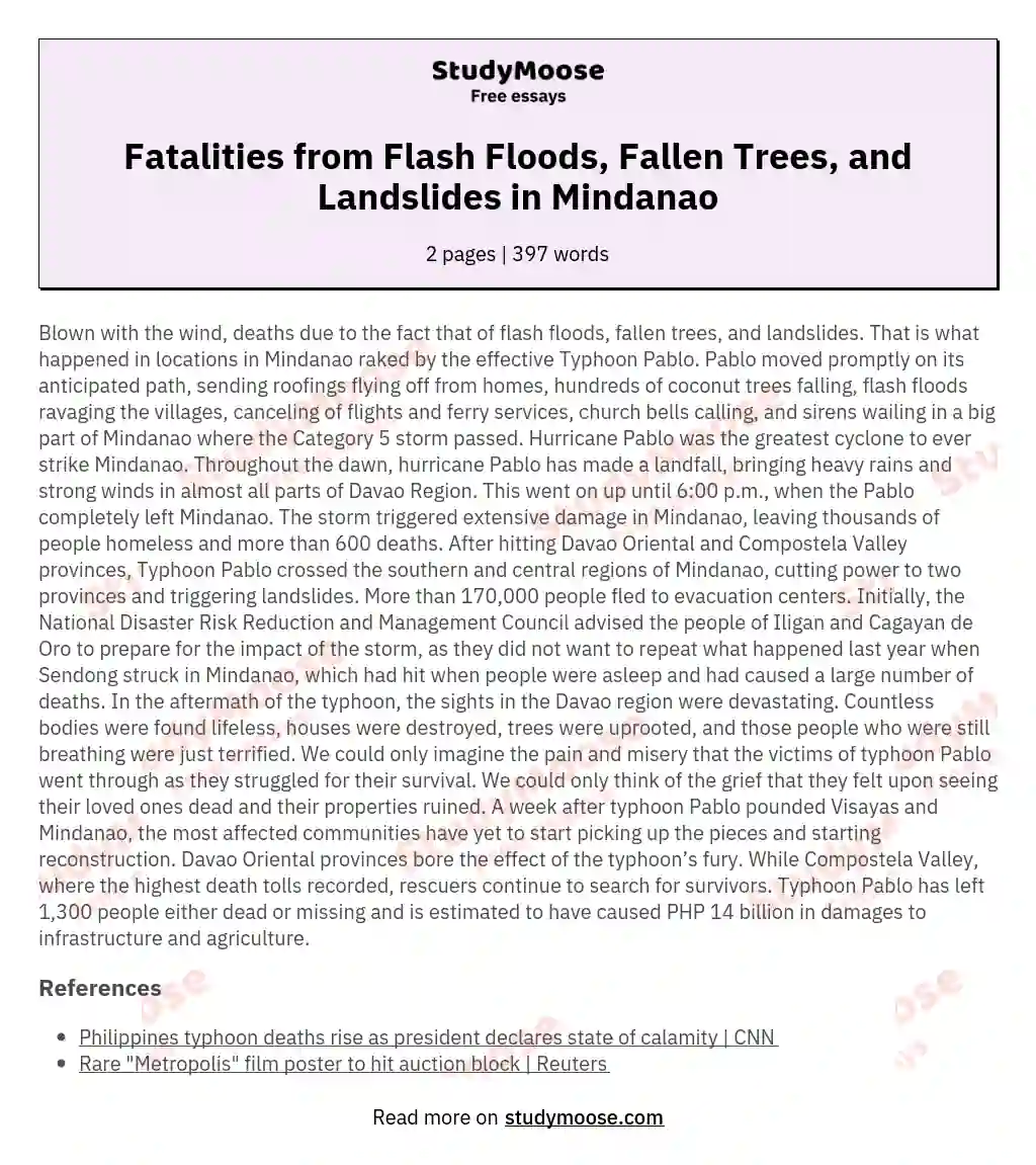 Fatalities from Flash Floods, Fallen Trees, and Landslides in Mindanao essay