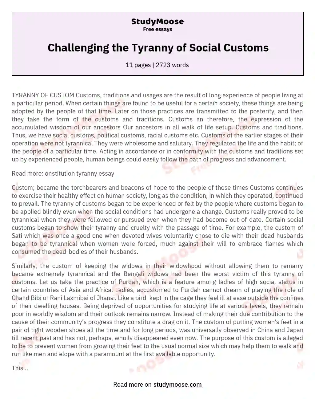 Challenging the Tyranny of Social Customs essay