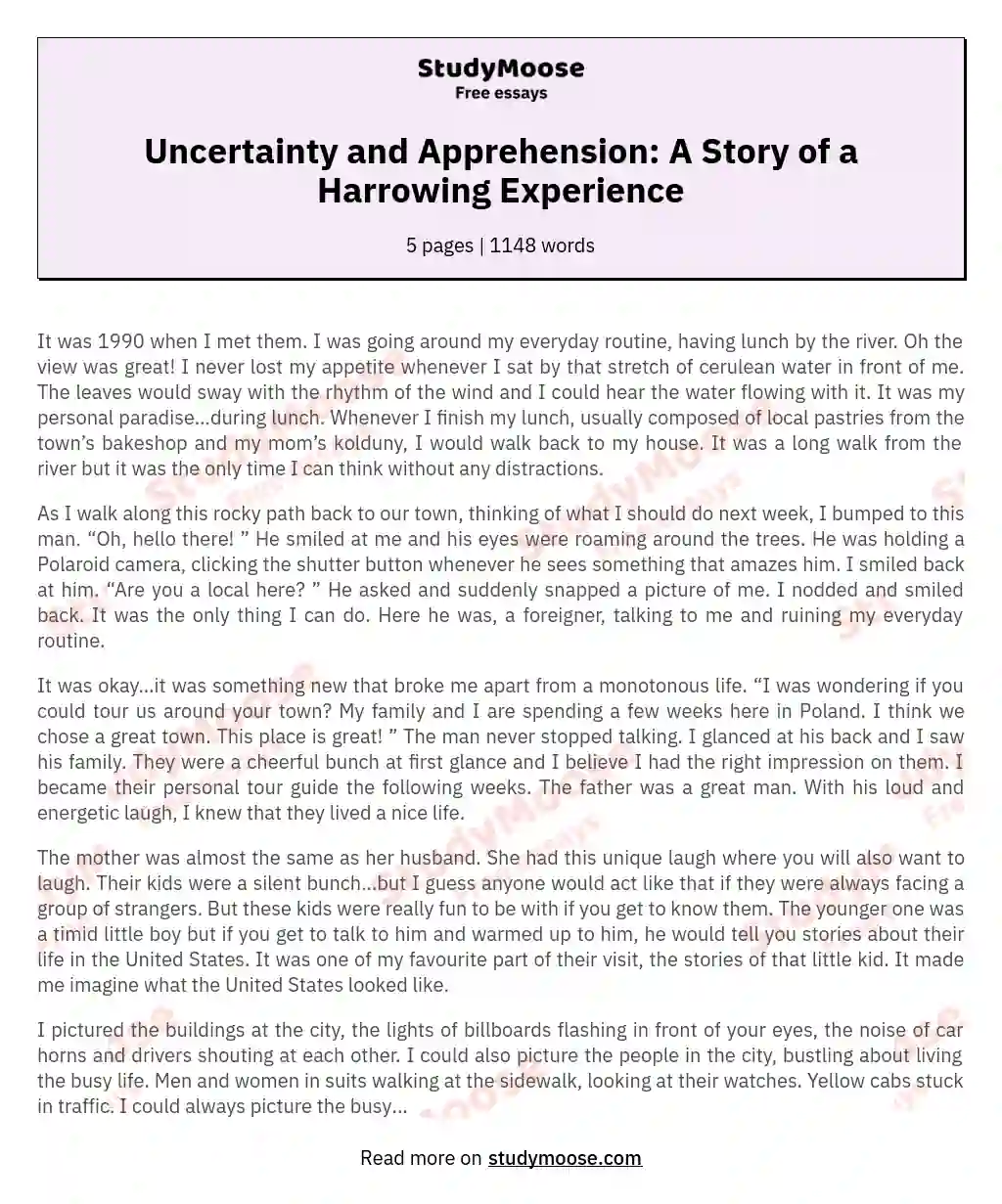 Uncertainty and Apprehension: A Story of a Harrowing Experience essay