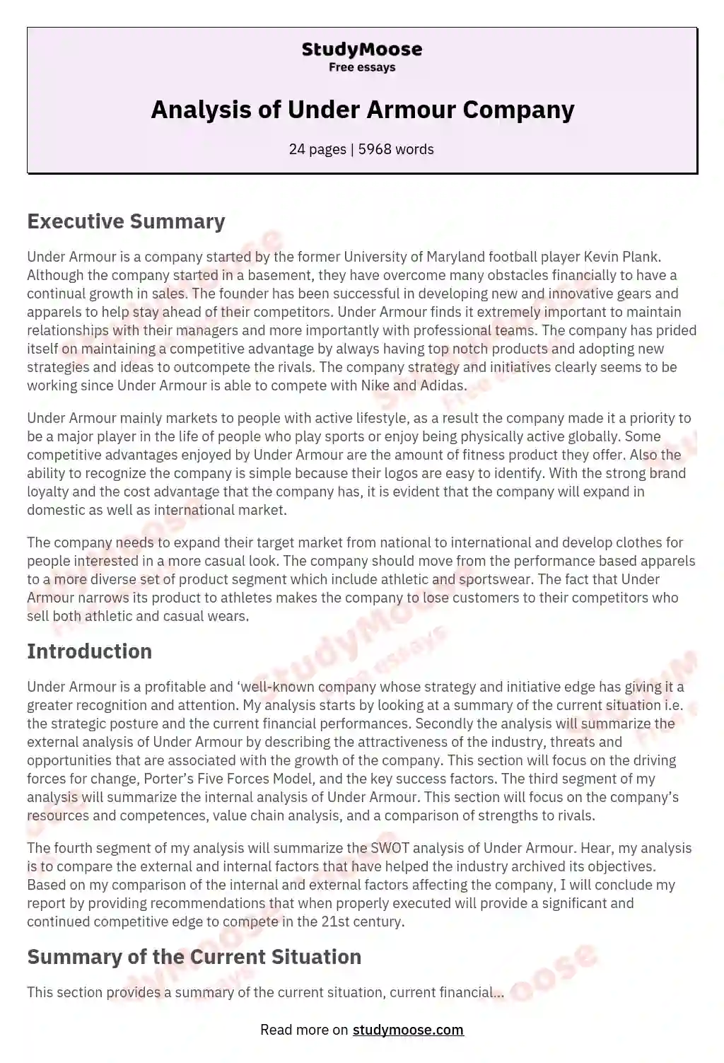 Analysis of Under Armour Company essay