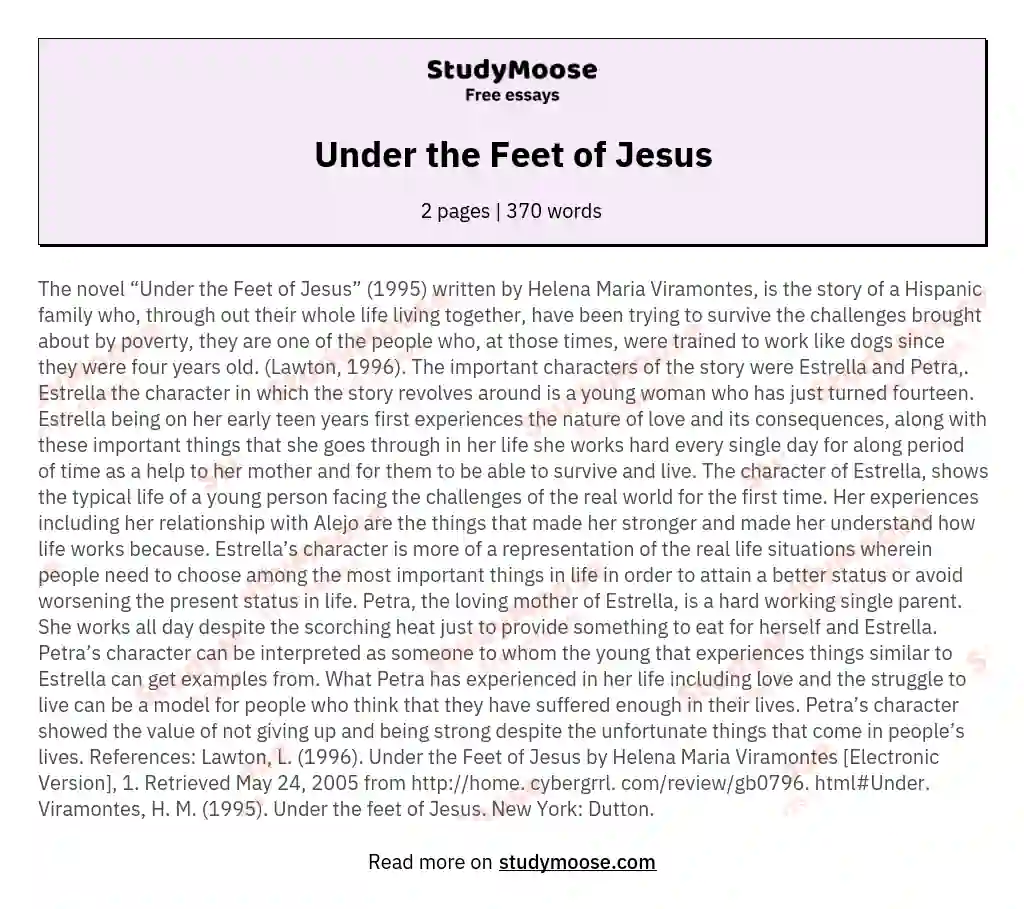 under the feet of jesus essay