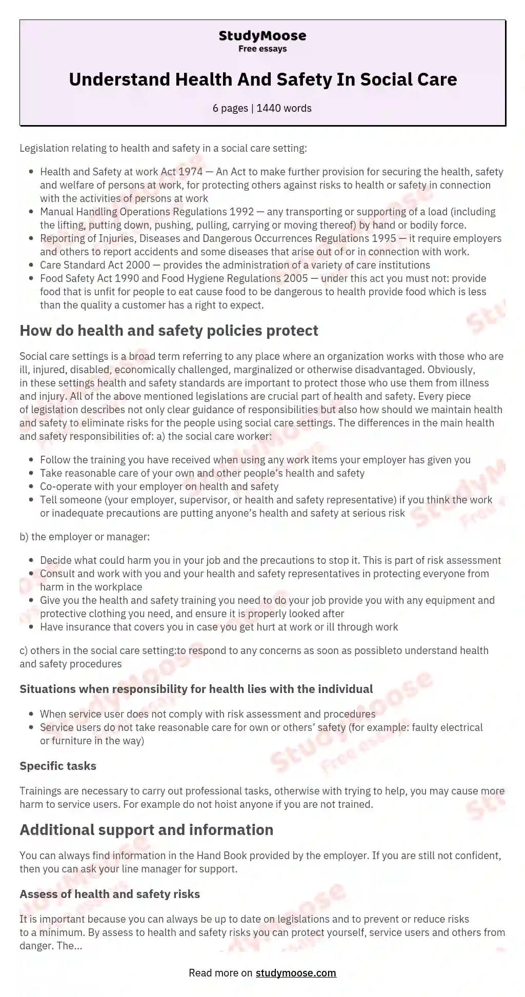 Understand Health And Safety In Social Care essay