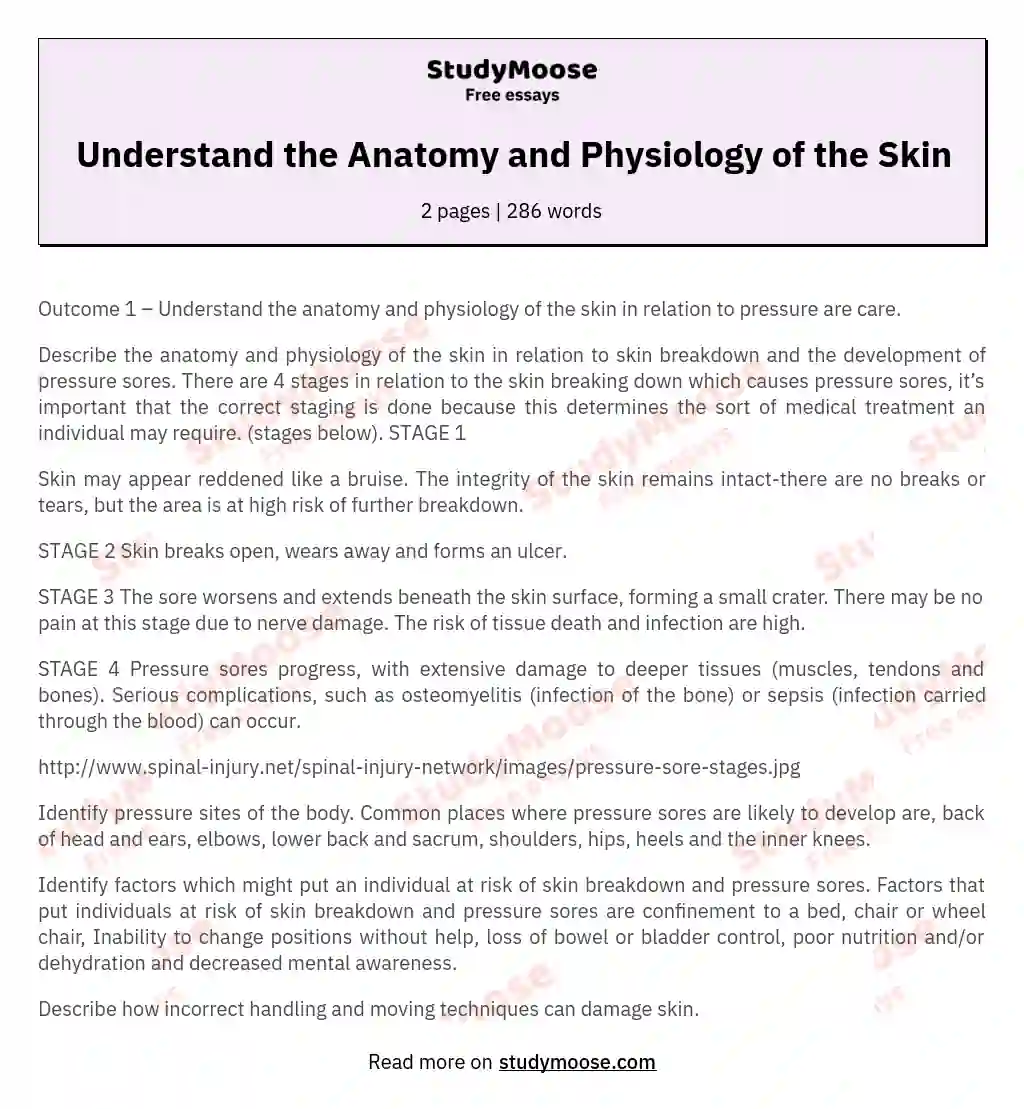 Understand the Anatomy and Physiology of the Skin essay