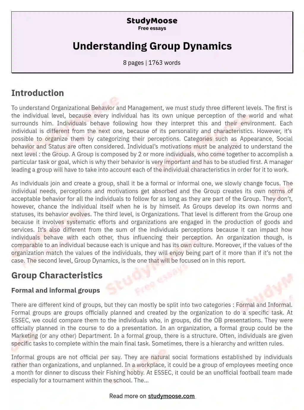 Understanding Group Dynamics essay