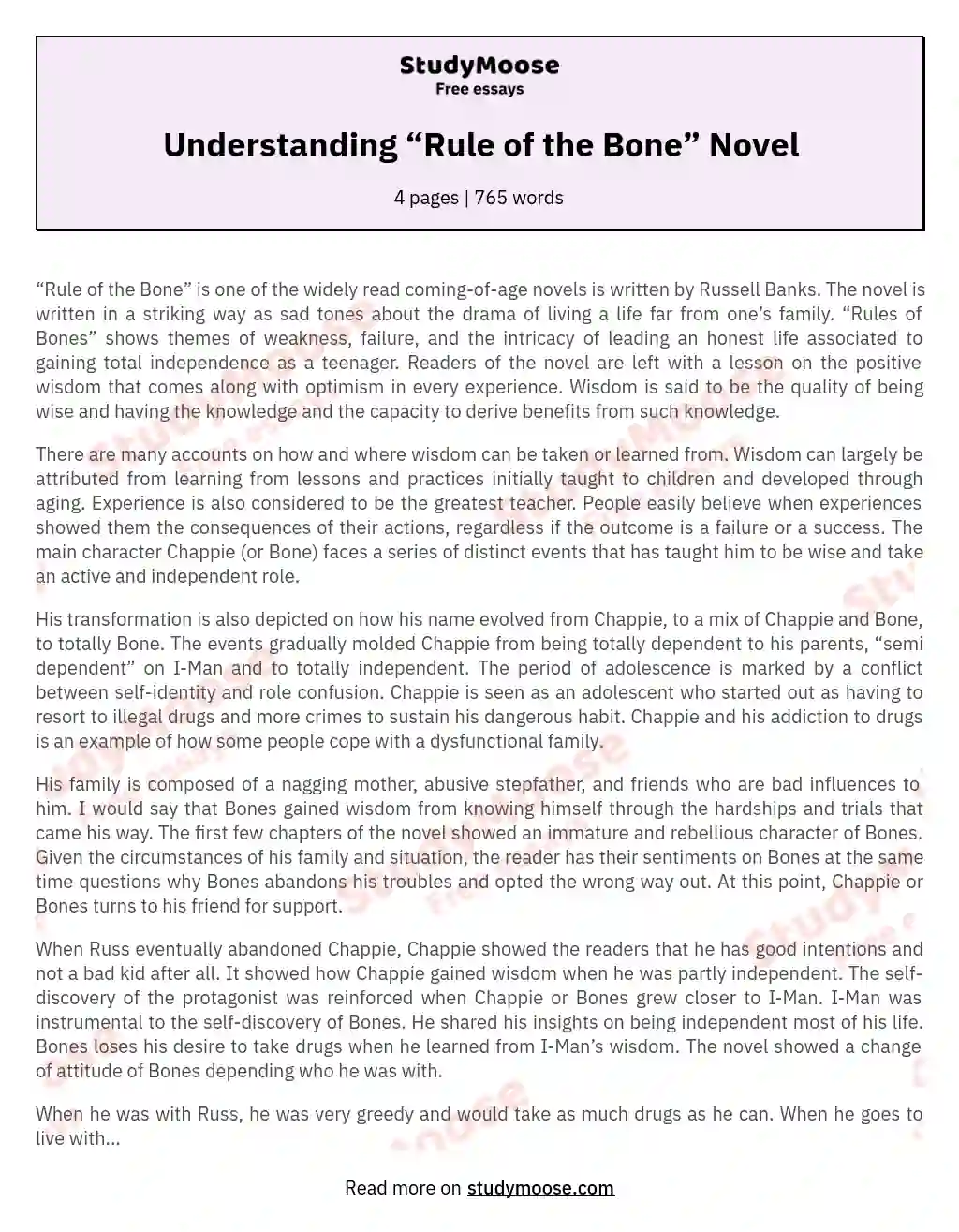 Understanding “Rule of the Bone” Novel essay