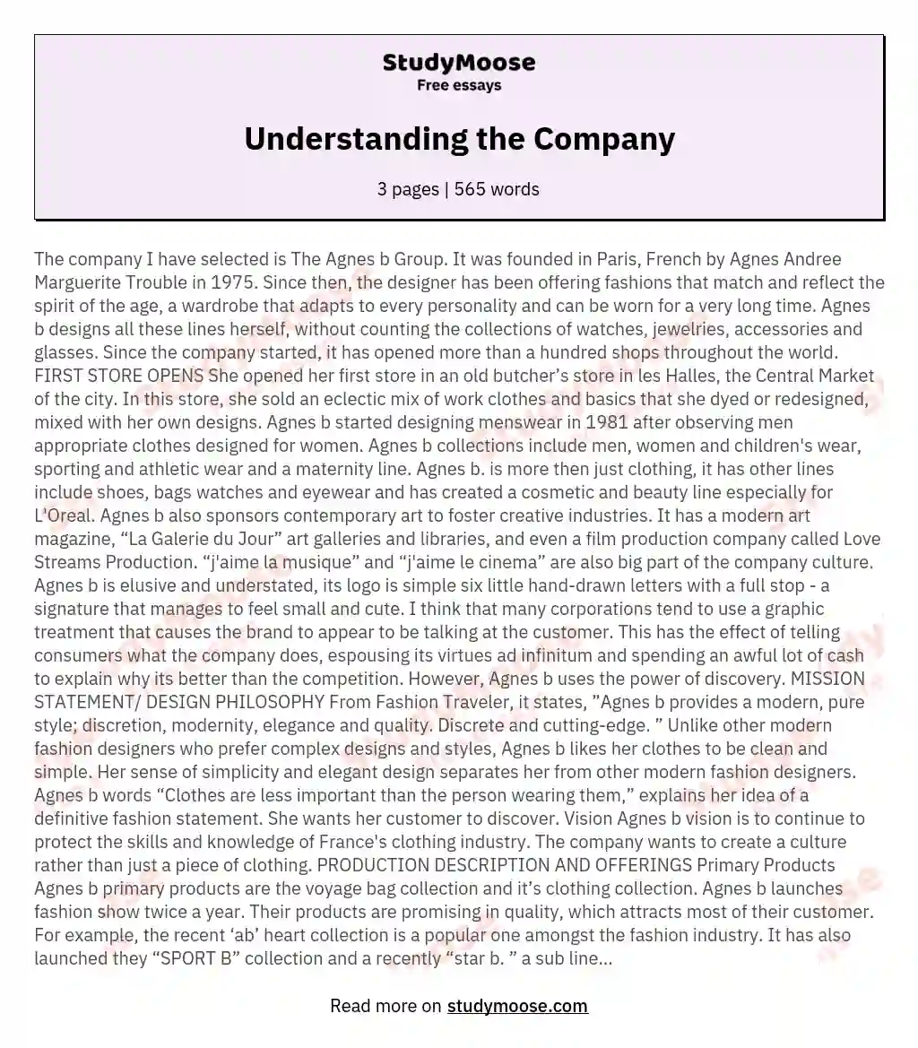 Understanding the Company essay