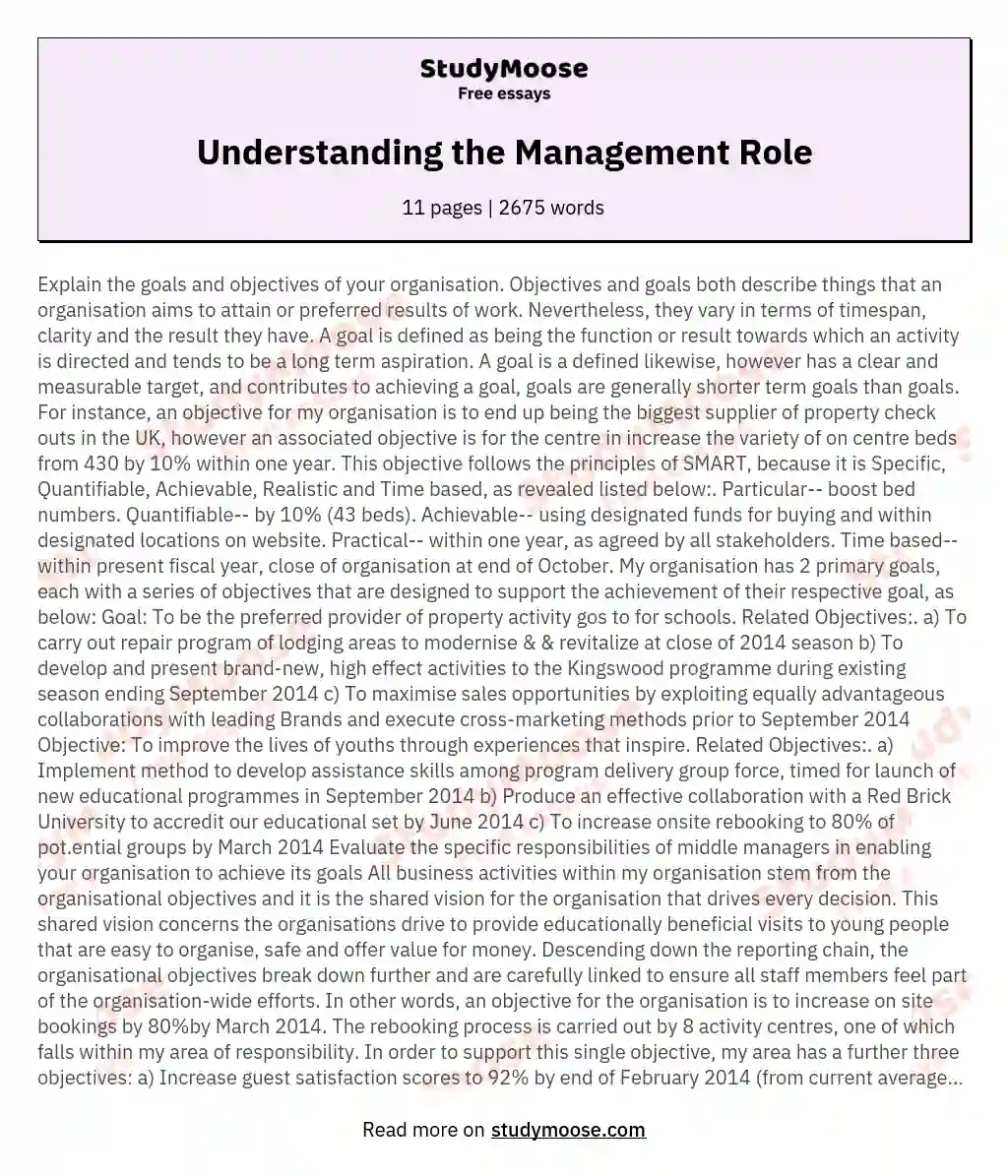 Understanding the Management Role essay
