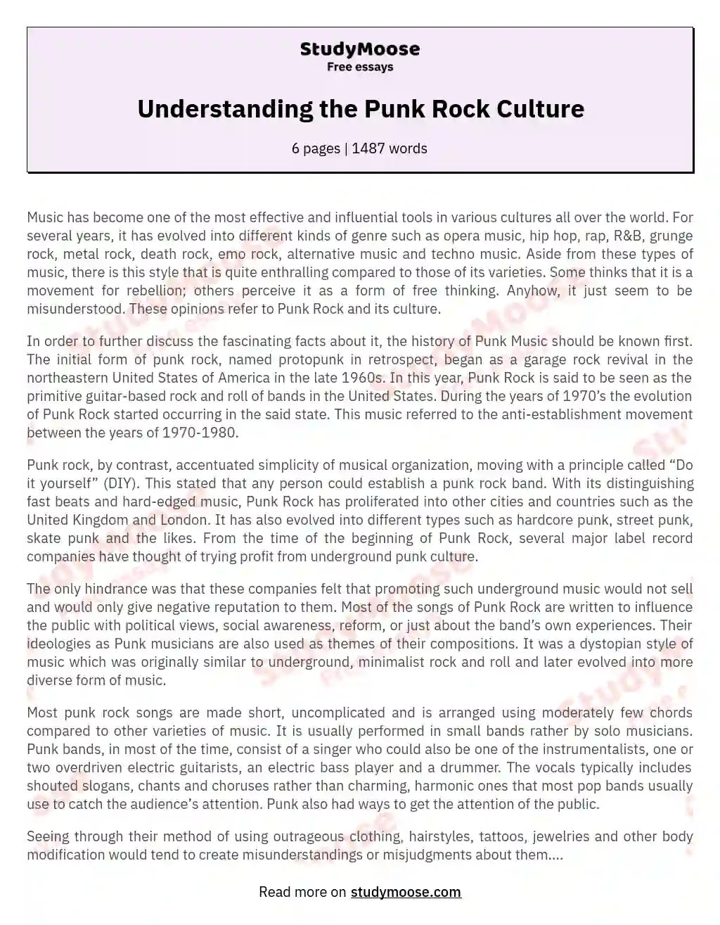 Understanding the Punk Rock Culture
