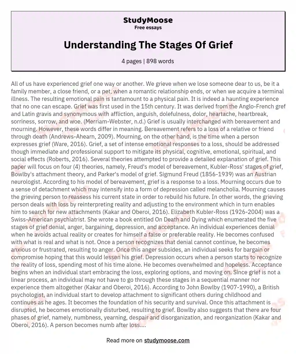 Understanding The Stages Of Grief essay