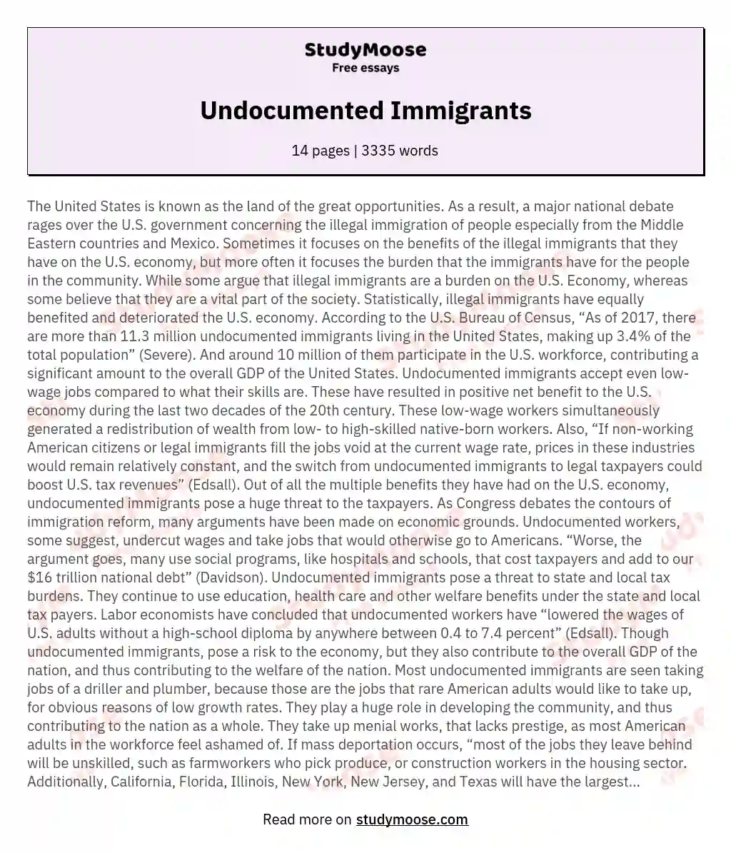 Undocumented Immigrants essay