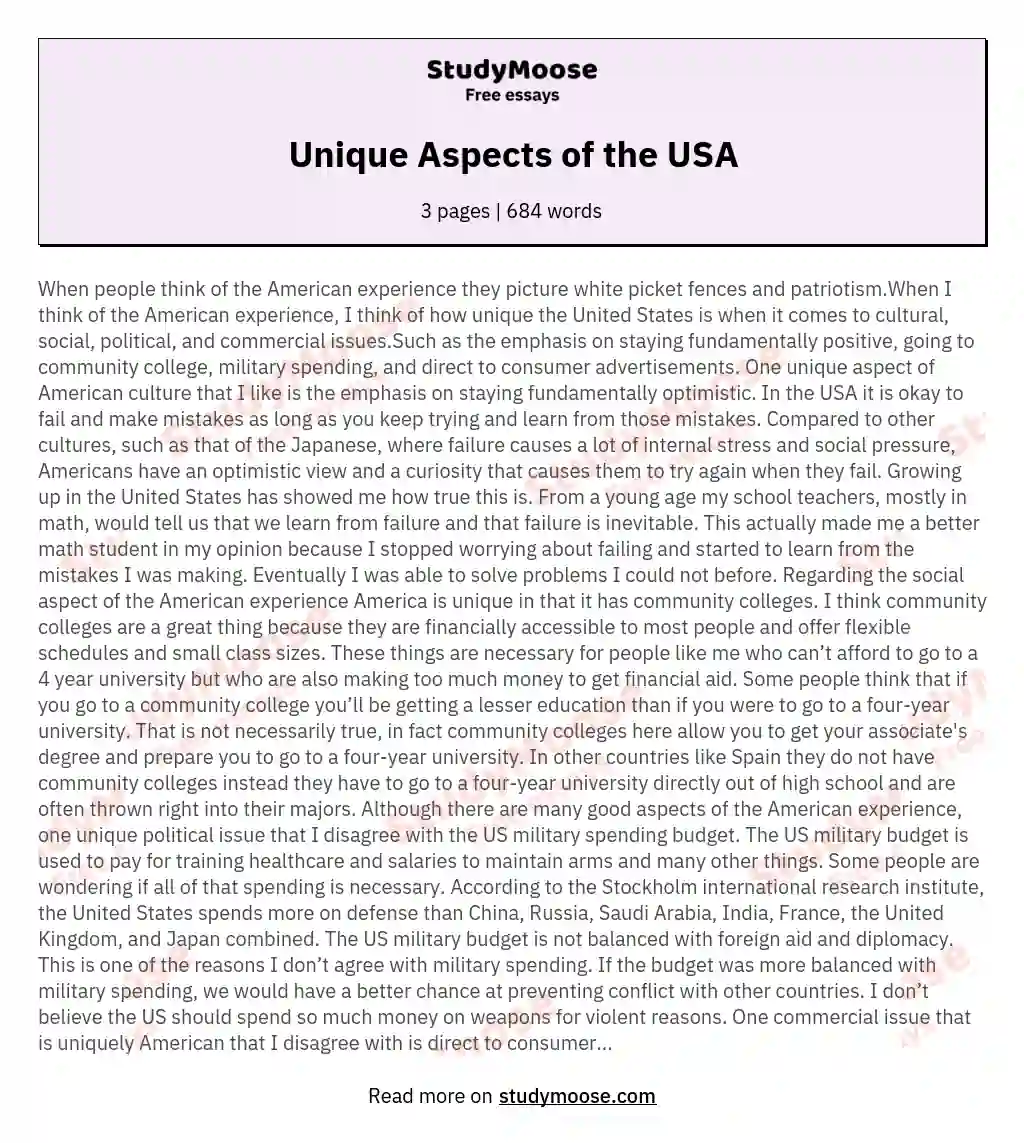 Unique Aspects of the USA essay