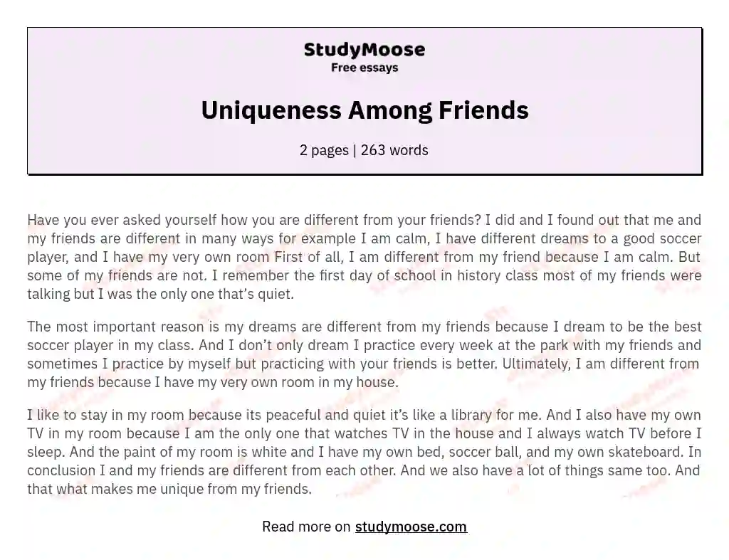 Uniqueness Among Friends essay