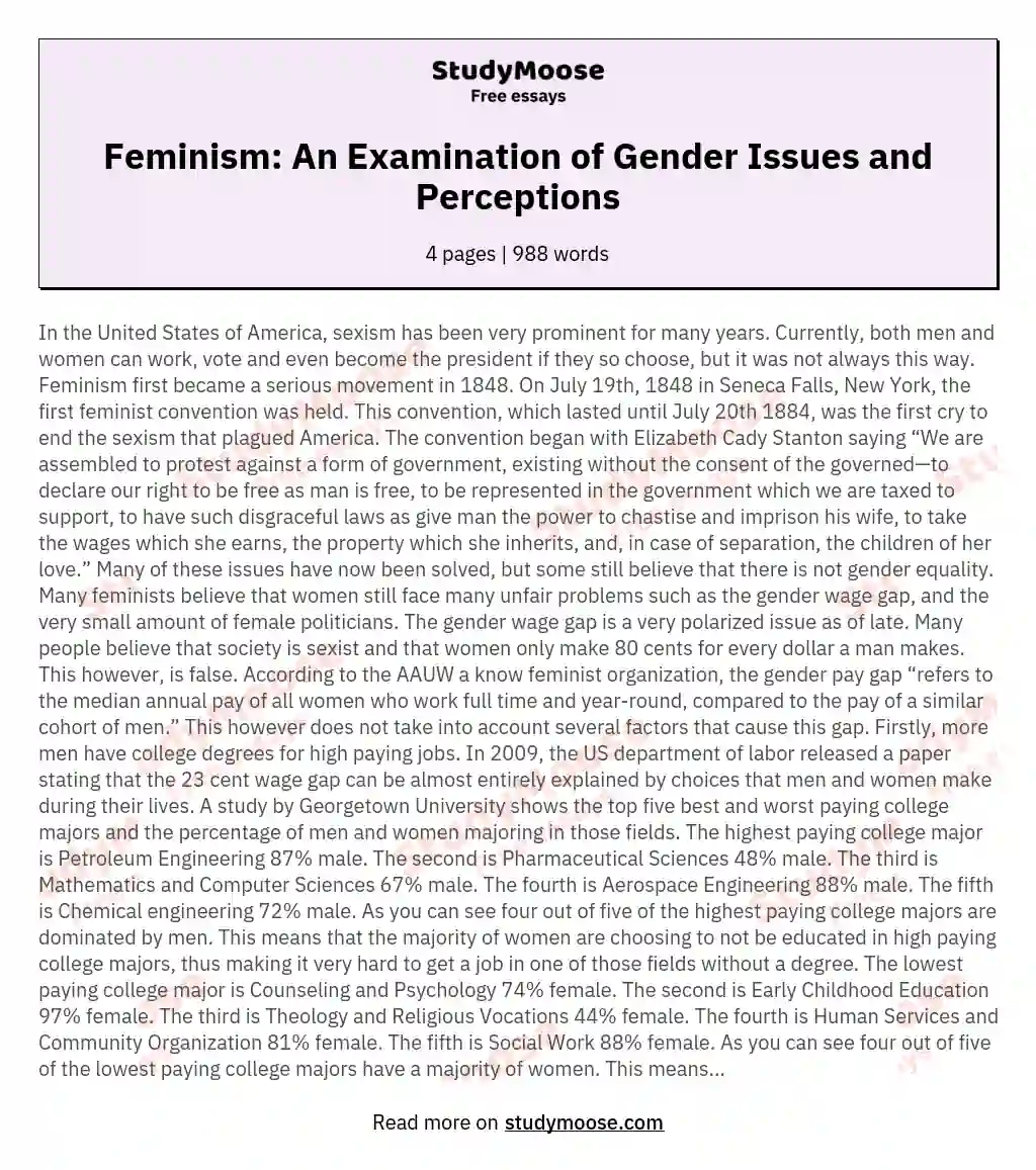 Feminism: An Examination of Gender Issues and Perceptions essay