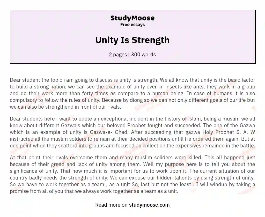 Unity Is Strength essay