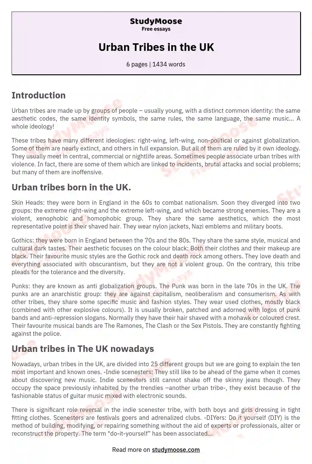 Urban Tribes in the UK essay