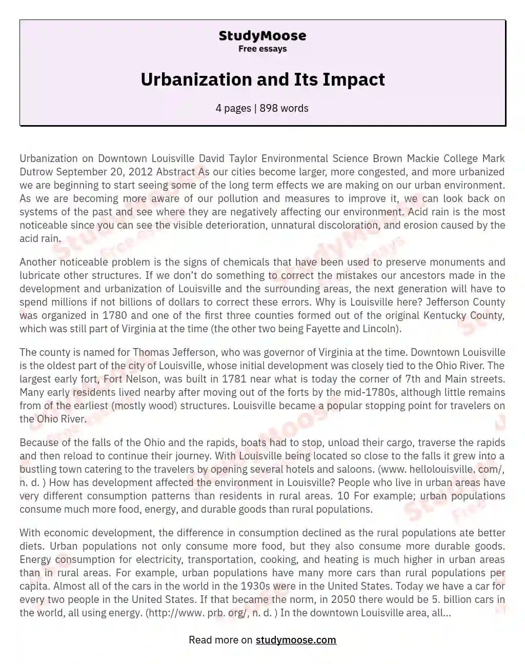 Urbanization and Its Impact essay
