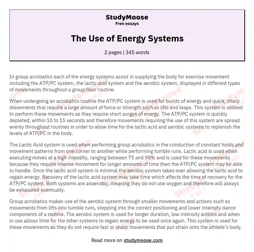 The Use of Energy Systems essay