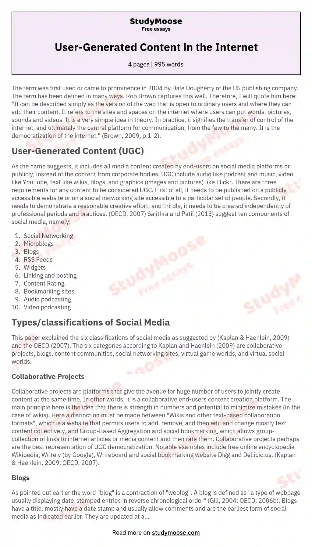 User-Generated Content in the Internet essay