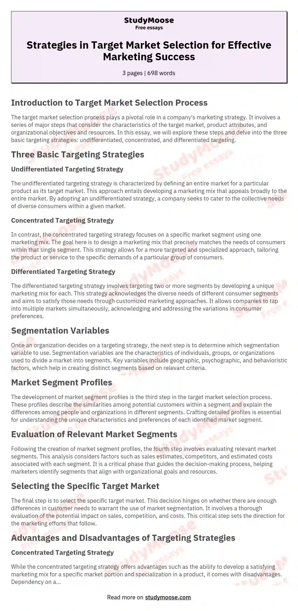 Strategies in Target Market Selection for Effective Marketing Success essay
