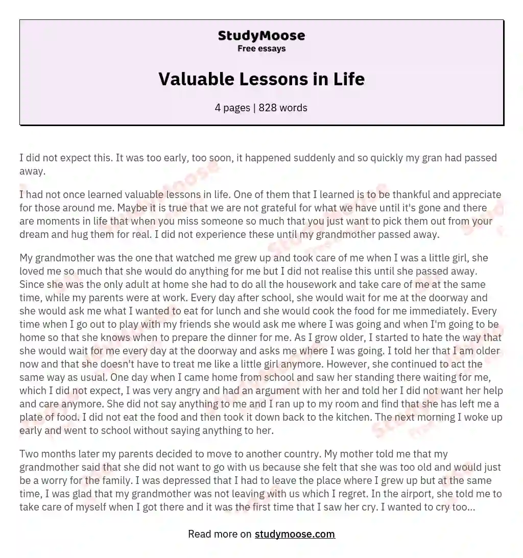 essay about a valuable lesson learned