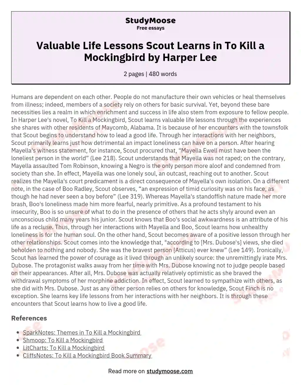 Valuable Life Lessons Scout Learns in To Kill a Mockingbird by Harper Lee essay