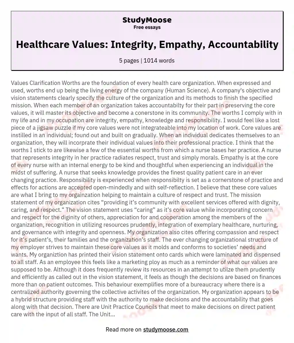 Healthcare Values: Integrity, Empathy, Accountability essay