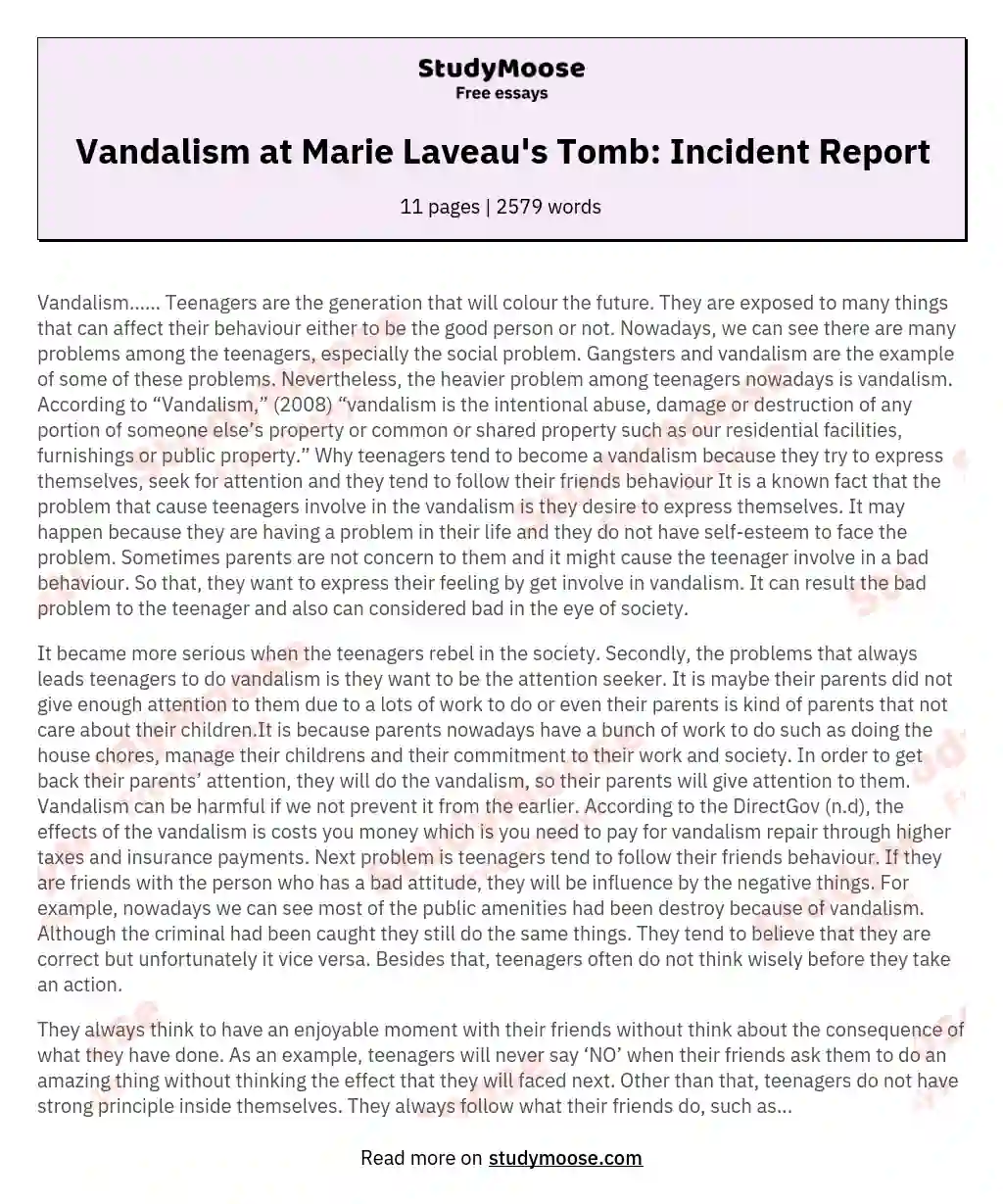 Vandalism at Marie Laveau's Tomb: Incident Report essay