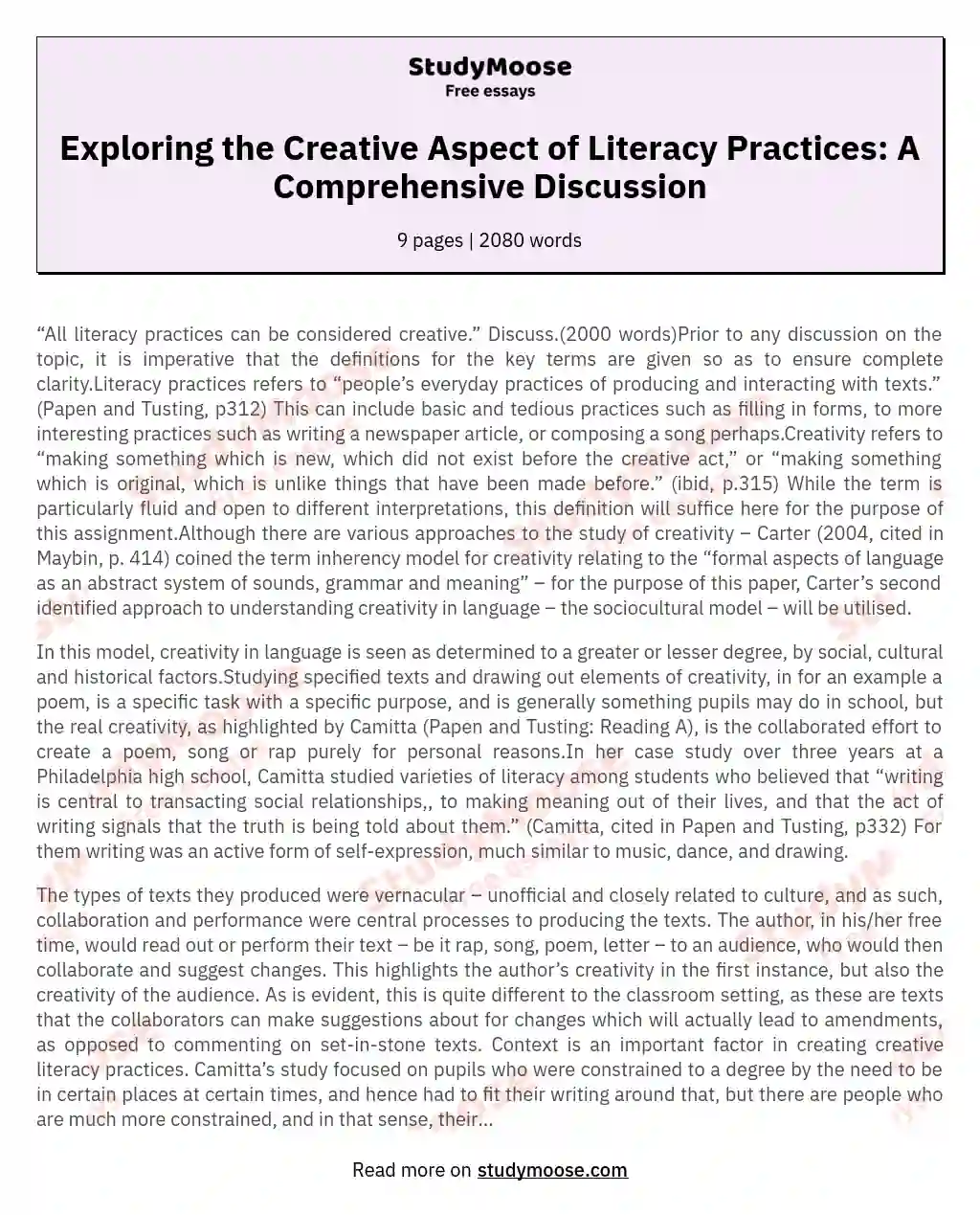 Exploring the Creative Aspect of Literacy Practices: A Comprehensive Discussion essay