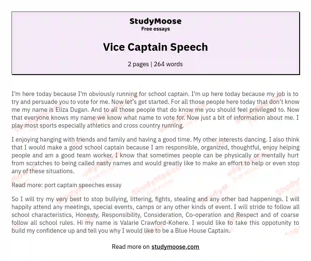 Vice Captain Speech essay