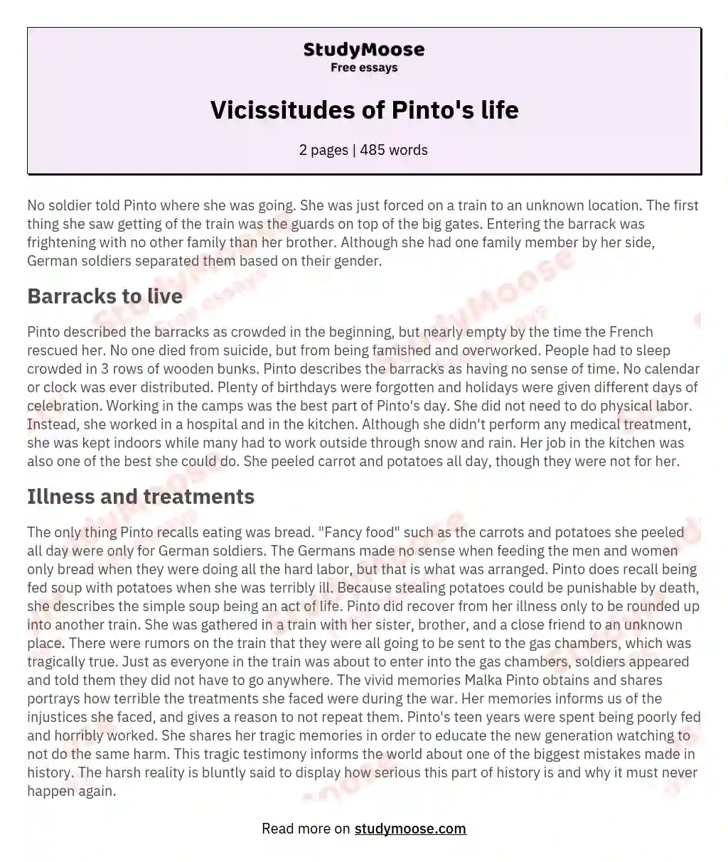 Vicissitudes of Pinto's life essay