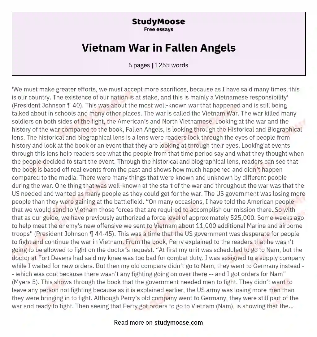 Vietnam War in Fallen Angels essay