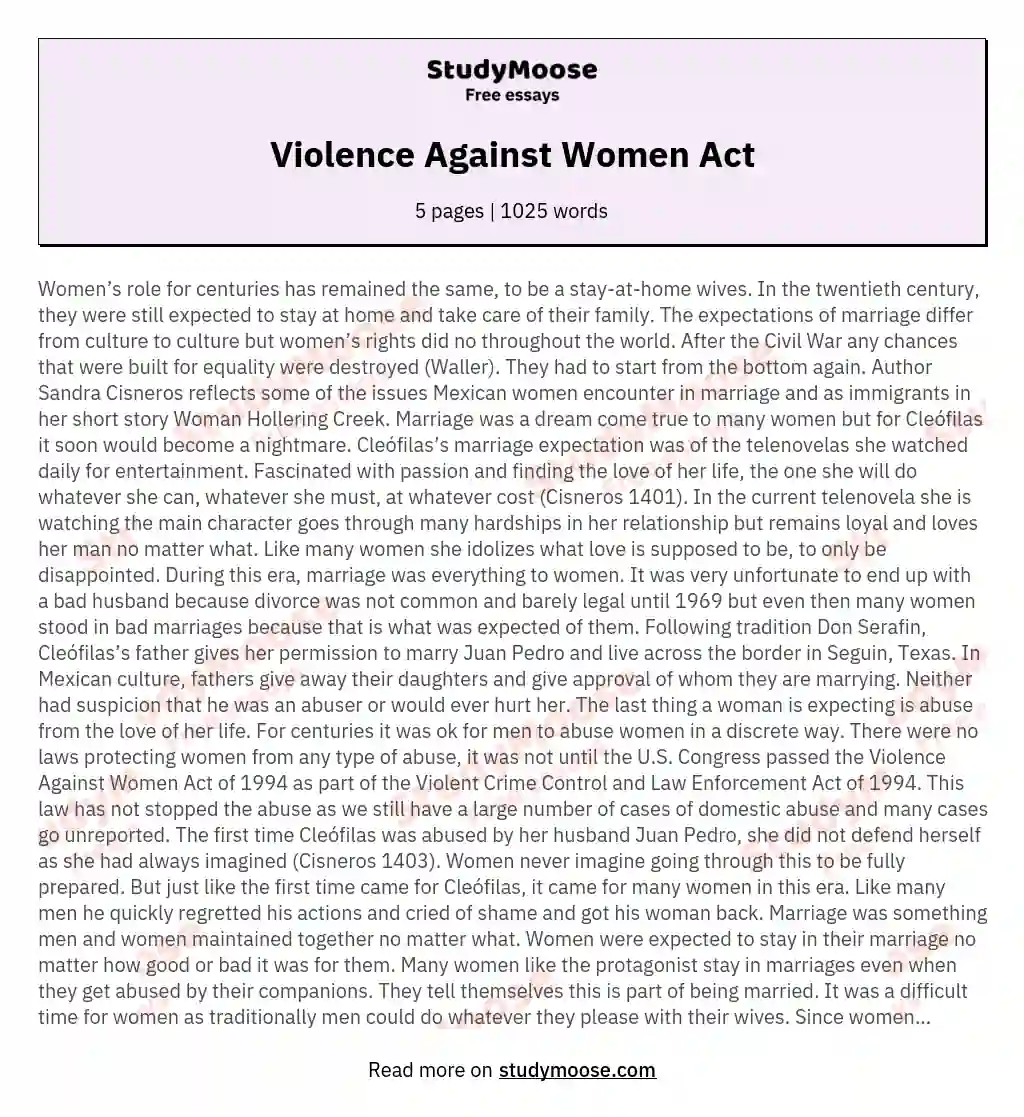 Violence Against Women Act essay