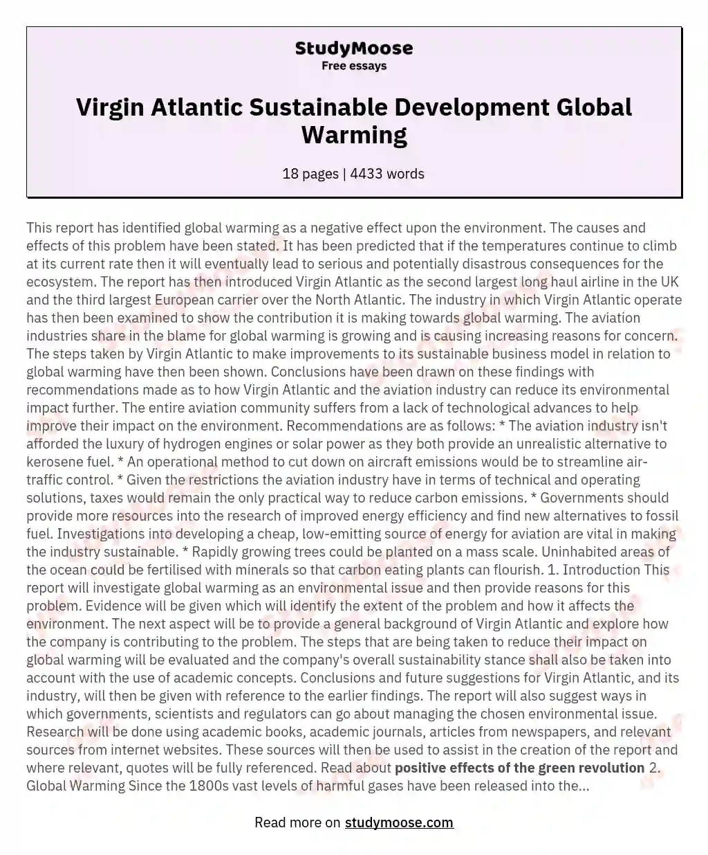 Virgin Atlantic Sustainable Development Global Warming essay
