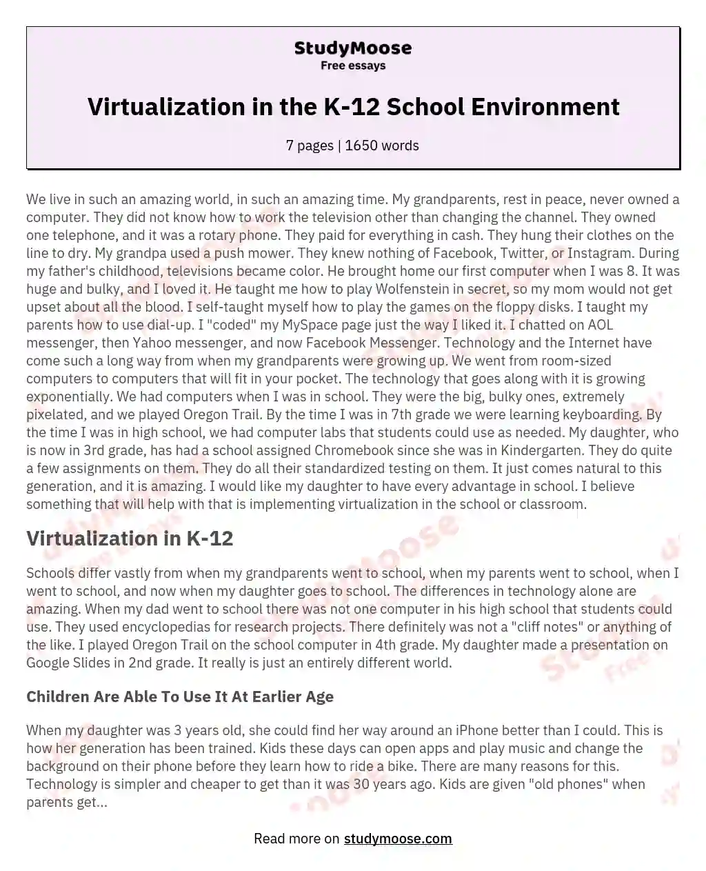 Virtualization in the K-12 School Environment essay