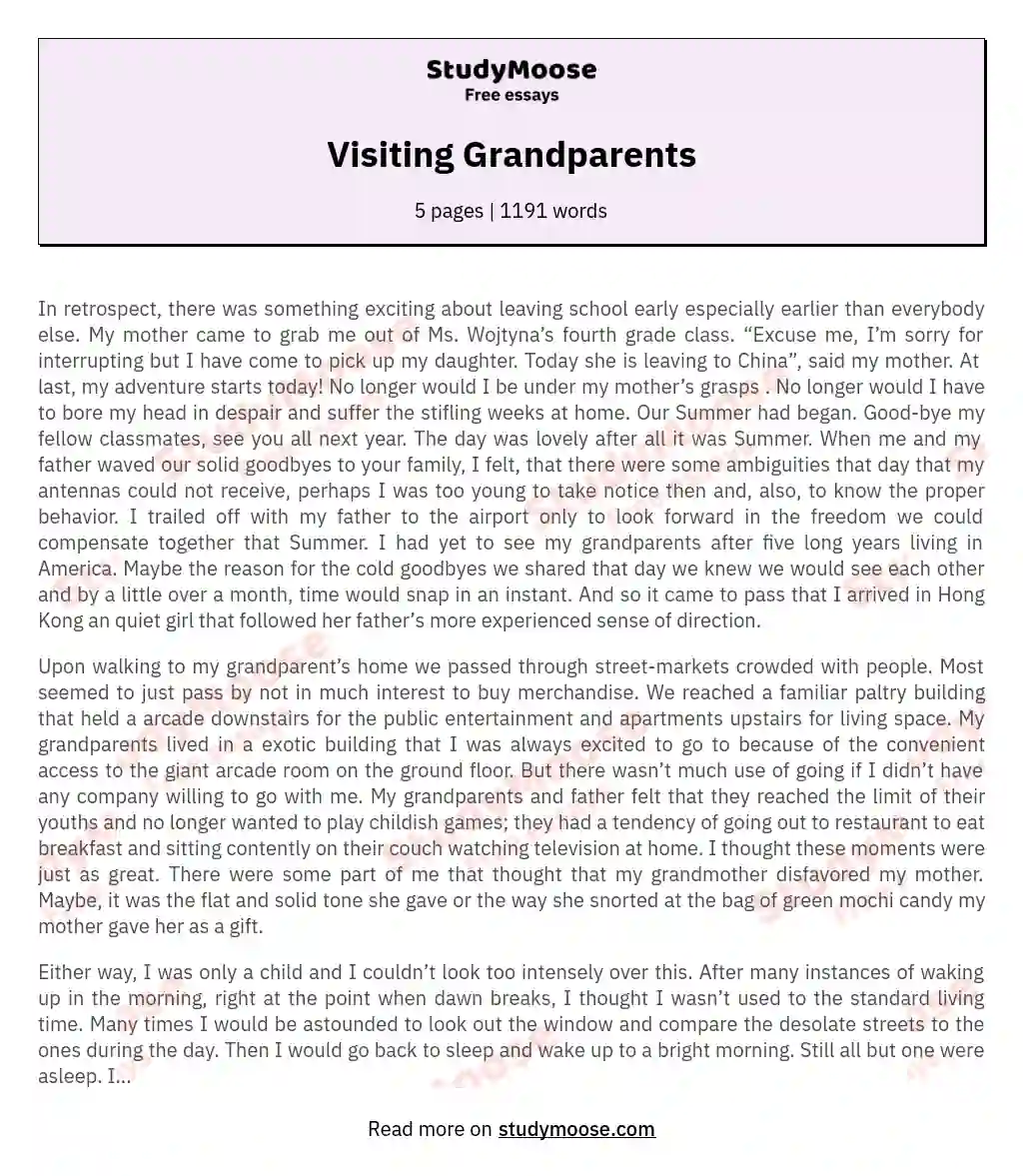 essay on visit to grandparents village